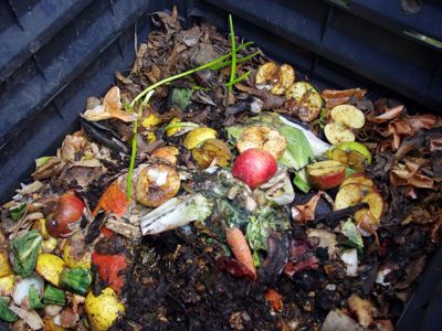 Compost